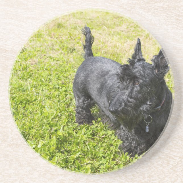 Dessous De Verre En Grès Scottish Terrier (Devant)