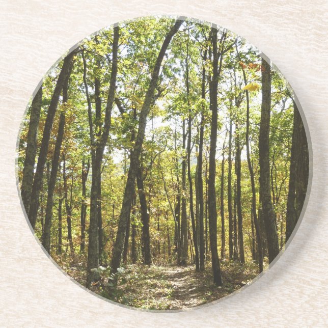 Dessous De Verre En Grès Sentier des Appalaches en octobre à Shenandoah (Devant)