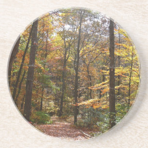 Dessous De Verre En Grès Sentier ensoleillé d'automne dans le parc d'État L