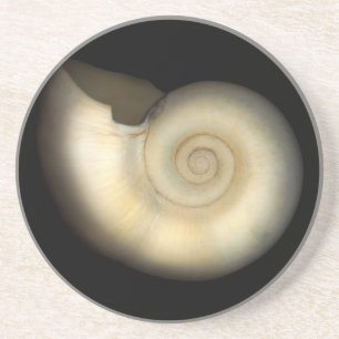 Dessous De Verre En Grès Shell - conchyliologie - Nautilus