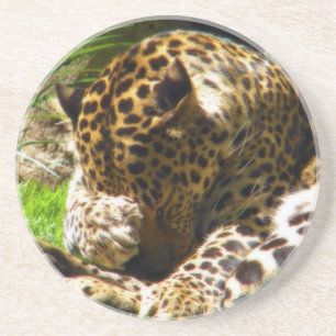Dessous De Verre En Grès Shy Leopard