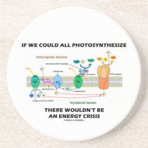 Dessous De Verre En Grès Si nous pourrions tout Photosynthesize ne serait