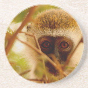 Dessous De Verre En Grès Singe Cheeky.