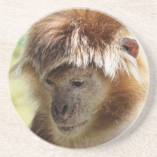 DESSOUS DE VERRE EN GRÈS SINGES