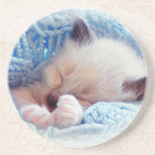 Dessous De Verre En Grès Sleeping Siamese Kitten Paws