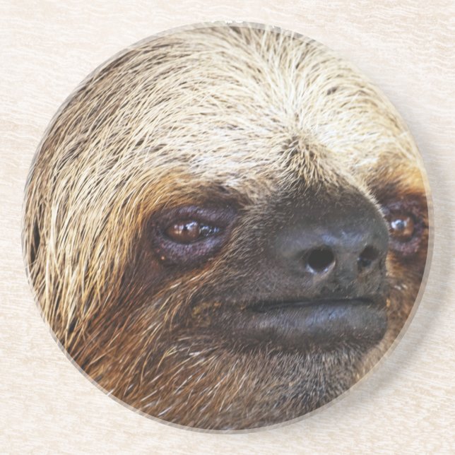 Dessous De Verre En Grès Sloth (Devant)