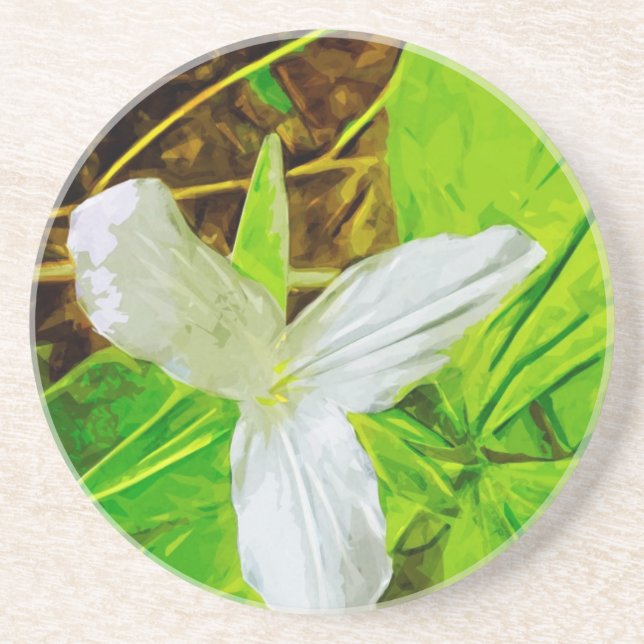 Dessous De Verre En Grès Snow Trillium un Fleur sauvage blanc Abstrait (Devant)