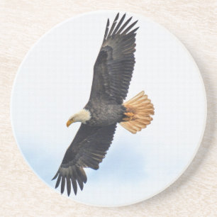 Dessous De Verre En Grès Soaring Bald Eagle Wildife Photo Art