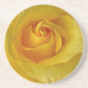 Dessous De Verre En Grès Souvenir rose ensoleillé décembre de cadeaux de