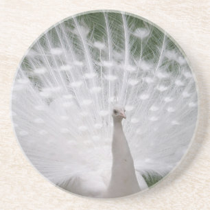 Dessous De Verre En Grès Superbe blanc Peacock ( Paon) plein plume