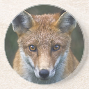 Dessous De Verre En Grès Tapisserie de portrait de renard roux