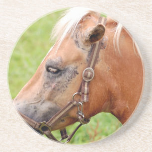 Dessous De Verre En Grès Tête de cheval 003