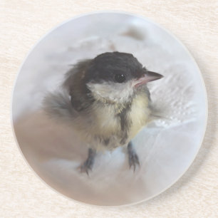 Dessous De Verre En Grès Tidi my Bird le Parus Major