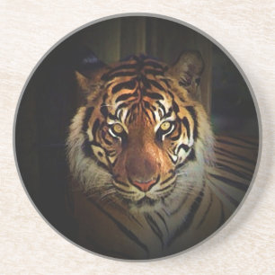 Dessous De Verre En Grès Tigre