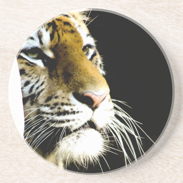 Dessous De Verre En Grès Tigre (Devant)