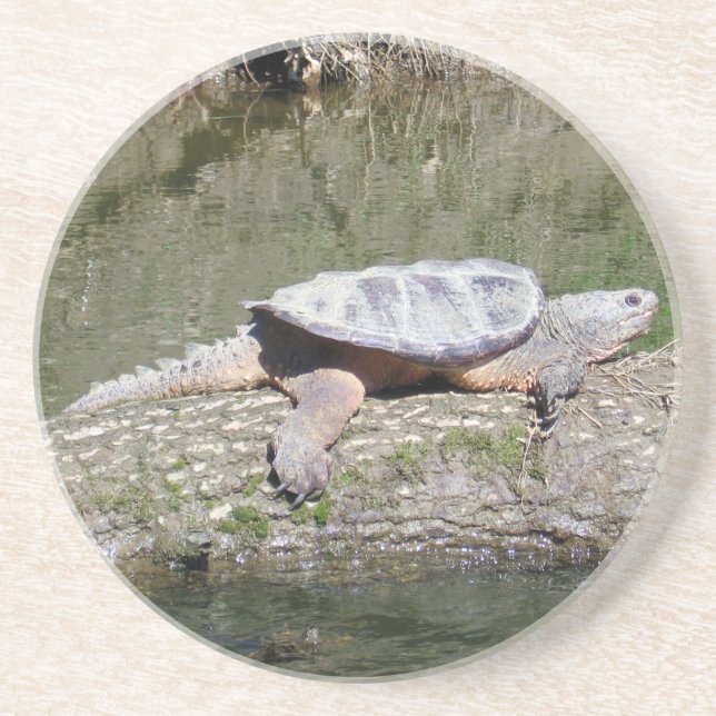Dessous De Verre En Grès Tortue (Devant)