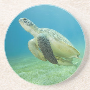 Dessous De Verre En Grès Tortue