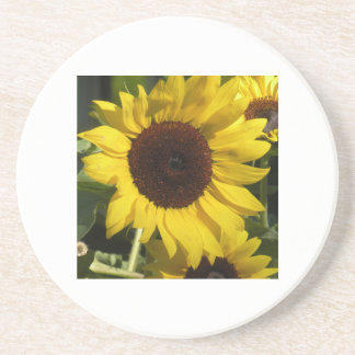 Dessous De Verre En Grès Tournesol
