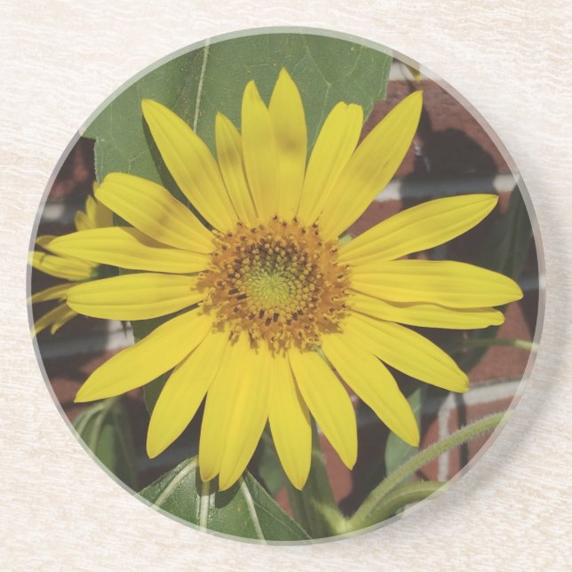 Dessous De Verre En Grès Tournesol (Devant)