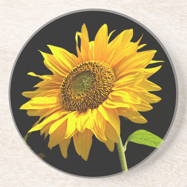 Dessous De Verre En Grès Tournesol lumineux sur l'arrière - plan noir (Devant)