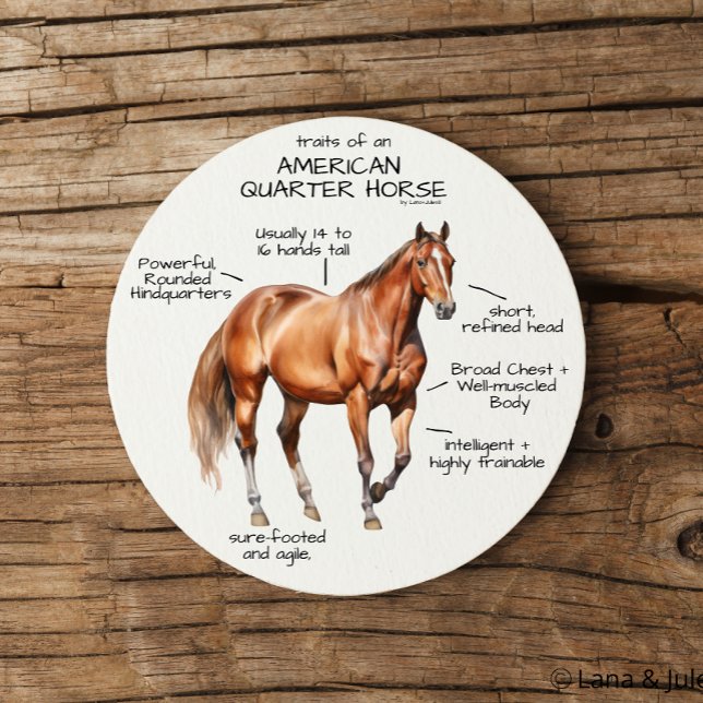 Dessous De Verre En Grès Traits d'un cheval de quartier américain (Créateur téléchargé)
