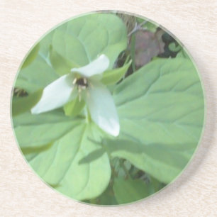 Dessous De Verre En Grès trillium blanc avec verdure