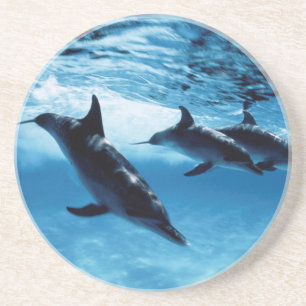 Dessous De Verre En Grès Trio de dauphins