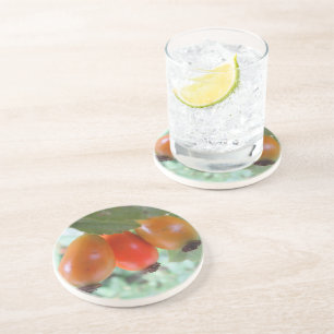 Dessous De Verre En Grès Trois cynorrhodons orange