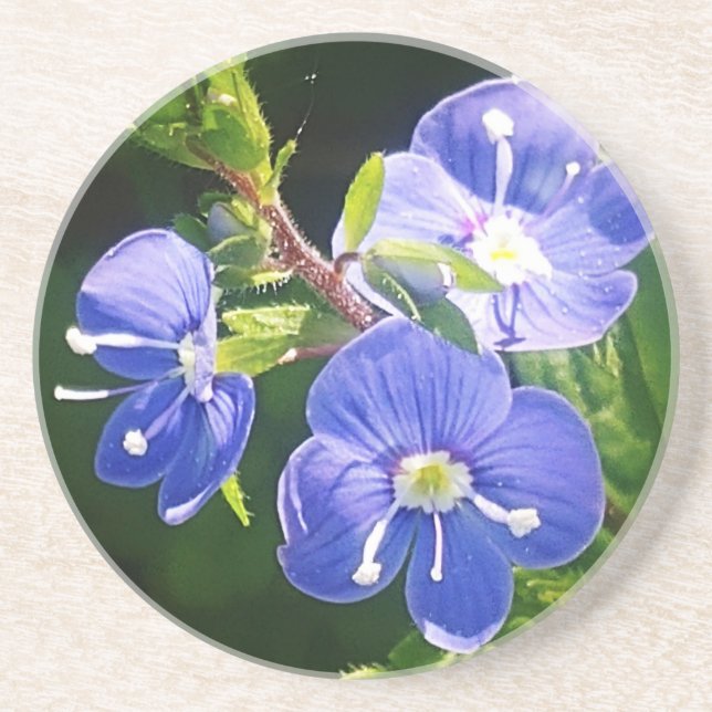 Dessous De Verre En Grès Trois fleurs bleues (Devant)