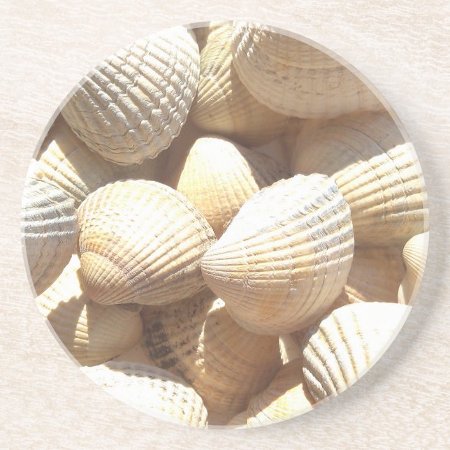 Dessous De Verre En Grès Tropical Sunny Sea Shells (Devant)
