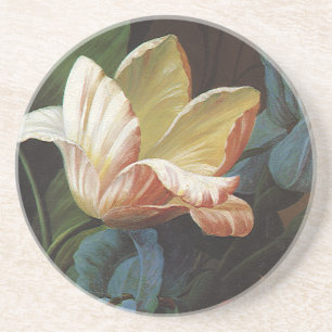 Dessous De Verre En Grès Tulipe de jardin vintage en fleurs, fleurs victori