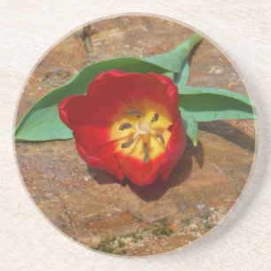 Dessous De Verre En Grès Tulipe rouge du printemps