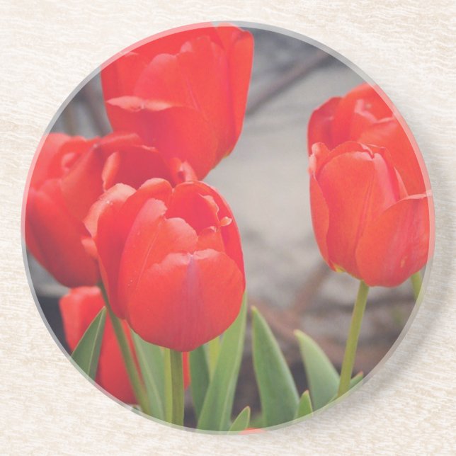 Dessous De Verre En Grès Tulipes de dernier printemps. Rêve du printemps. (Devant)