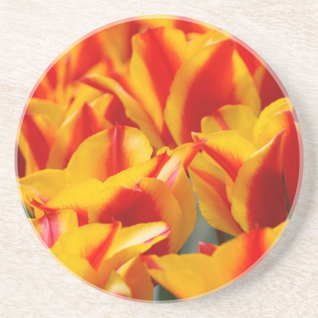 Dessous De Verre En Grès Tulipes rouges et jaunes (Devant)
