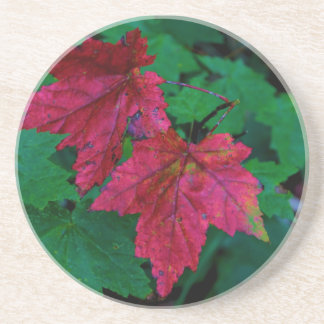 Dessous De Verre En Grès Un signe d'automne