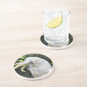 Dessous De Verre En Grès Vagues amicales d'oiseaux de Cockatoo Parrot à Pap