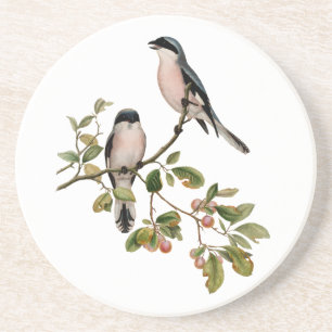 Dessous De Verre En Grès Vintage de beaux oiseaux sur une branche