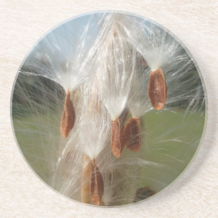 Dessous De Verre En Grès Vintage Flora and Fauna Milkweeds Floating.jpg