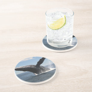 Dessous De Verre En Grès Violation adulte de baleine de bosse