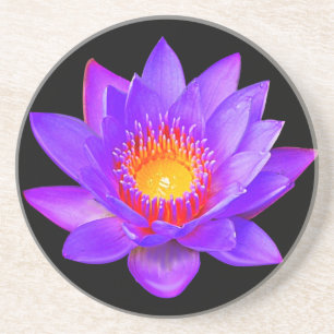 Dessous De Verre En Grès Violet Lotus Flower sur noir