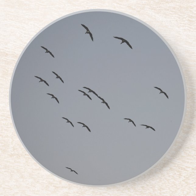 Dessous De Verre En Grès Vol du soir (Devant)