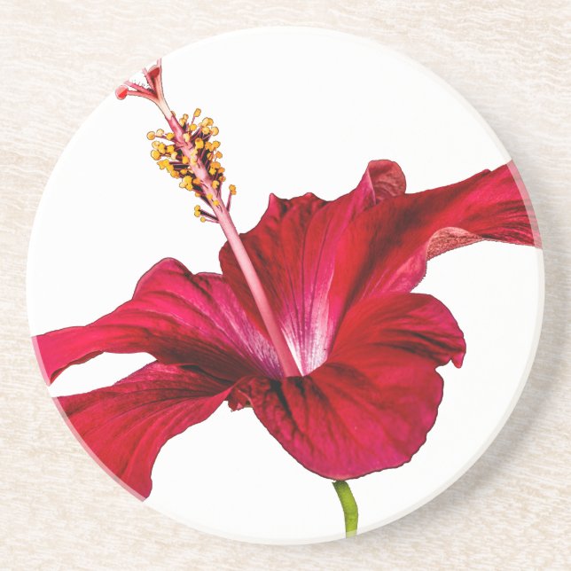 Dessous De Verre En Grès Vue latérale de l'Hibiscus rouge (Devant)