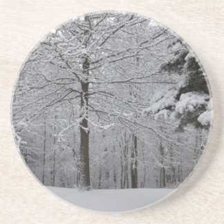 Dessous De Verre En Grès Vue Woods