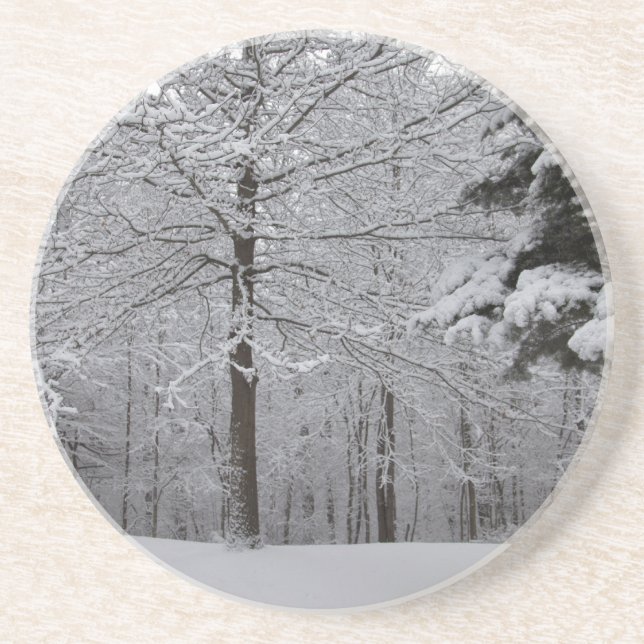 Dessous De Verre En Grès Vue Woods (Devant)