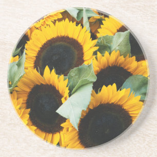 Dessous De Verre En Grès Washington, Seattle, Tournesol à vendre pike