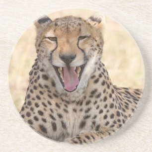 Dessous De Verre En Grès Yawning Cheetah