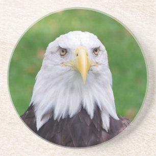 Dessous De Verre En Grès Yeux d'un aigle