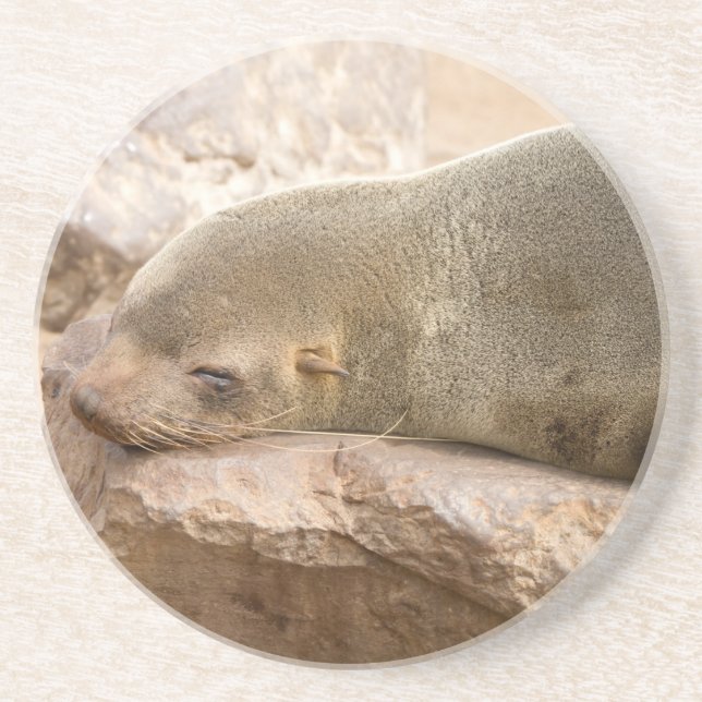 Dessous De Verre En Grès Young sea lion (Devant)