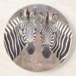 Dessous De Verre En Grès Zèbres des plaines, parc national Kruger
