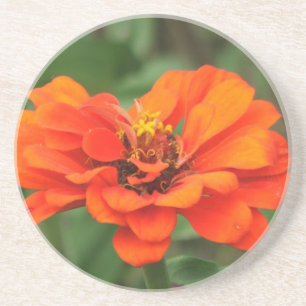 Dessous De Verre En Grès Zinnia orange